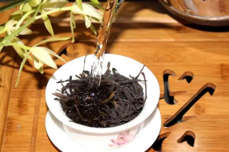 凤凰单丛怎么泡？
