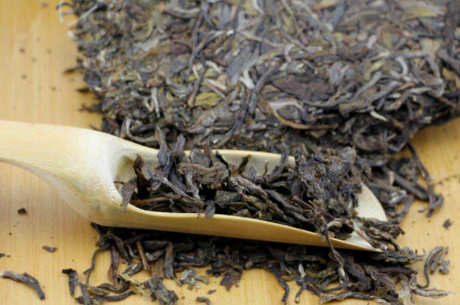 老班章茶的特点和功效可以降脂、减肥、消炎、杀菌