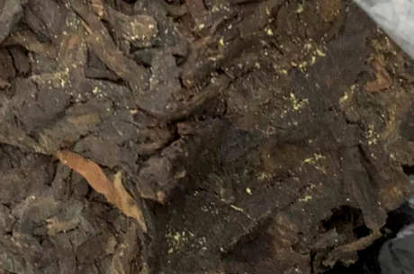 普洱茶发霉怎么处理？