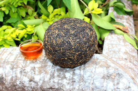 沱茶是普洱茶吗？不完全是普洱茶吗