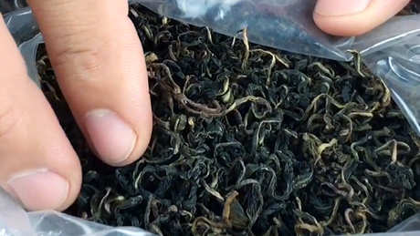 蒲公英怎么泡水？