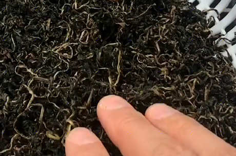 蒲公英怎么泡水？