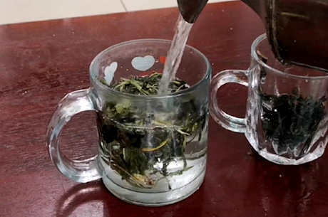 蒲公英怎么泡水？