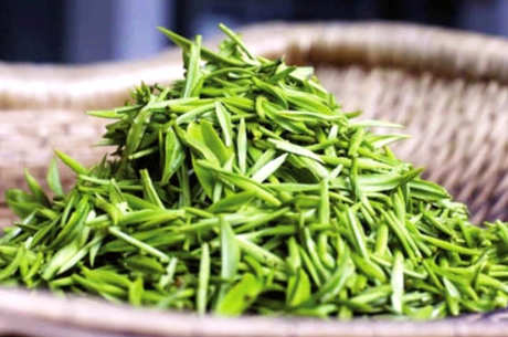 铁观音和碧螺春哪个高档？碧螺春高档