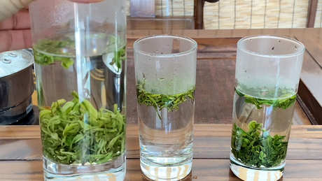 茶叶的泡法
