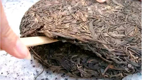 茶饼怎样泡茶？