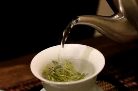 安吉白茶冲泡法