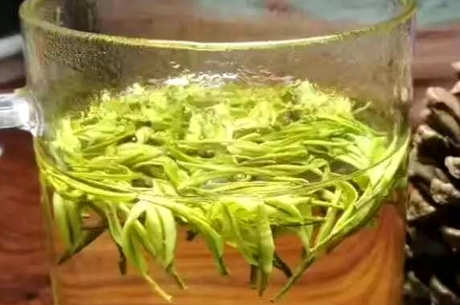 安吉白茶冲泡法