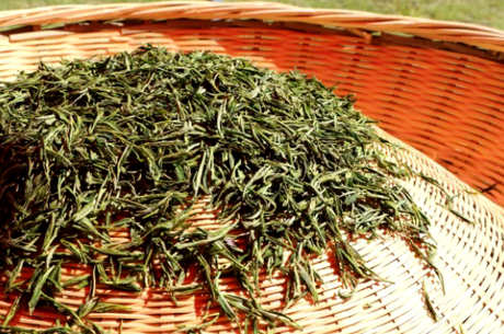 如何判断适合喝什么茶，适合喝什么茶？
