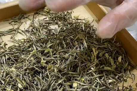 茉莉花茶的种类