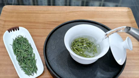 茶的基本知识