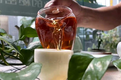 茶的基本知识