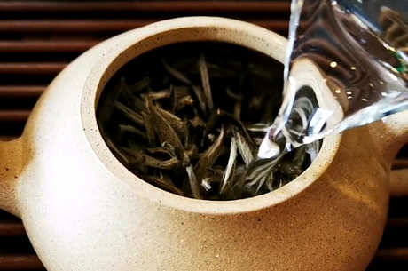 茶的基本知识