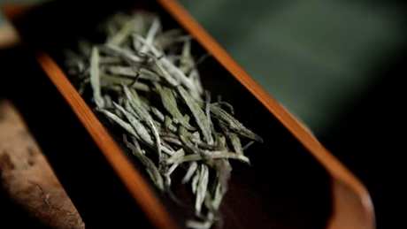 什么茶属于福鼎白茶？