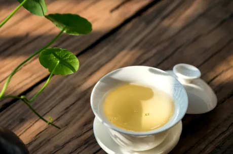 乌龙茶和大红袍的区别