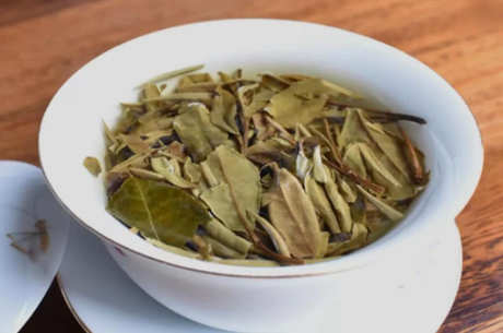 如何泡福鼎白茶？