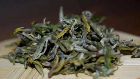 在哪里生产毛尖茶？