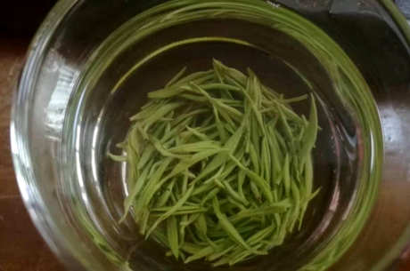 在哪里生产毛尖茶？