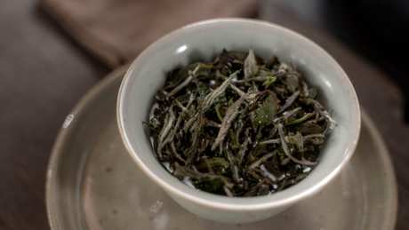 水泡多少度的白茶？