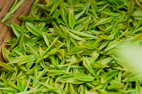 新茶什么时候上市？