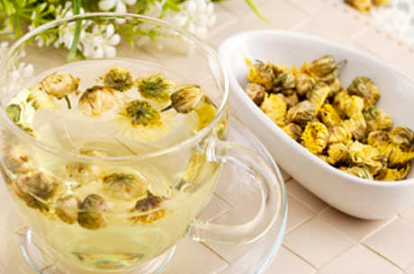 菊花泡水后为什么会变绿？