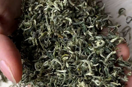 中国十大名茶有哪些？