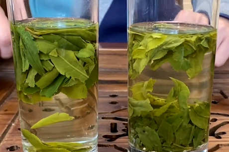 中国十大名茶有哪些？