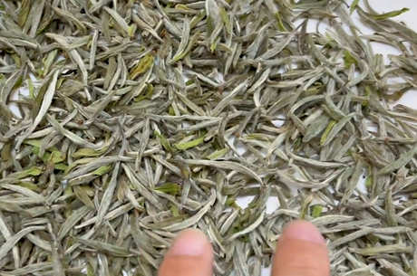 中国十大名茶有哪些？