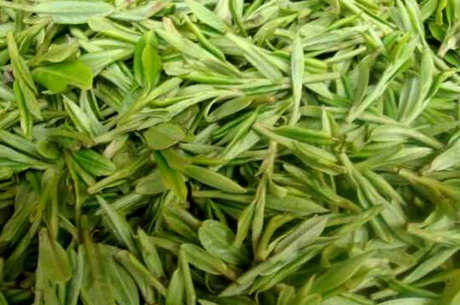 哪个牌子的龙井茶是正宗的，盘点四个正宗的龙井茶品种