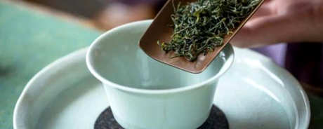 江山绿牡丹茶的冲泡方法
