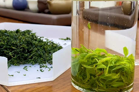 绿茶是什么