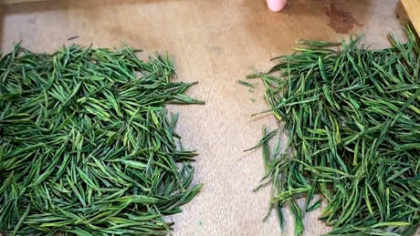 明前茶和雨前茶的区别