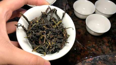 鸭屎香属于什么茶？