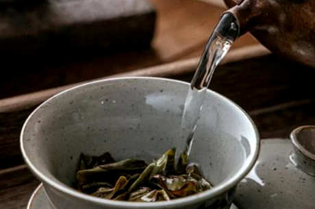 鸭屎香属于什么茶？