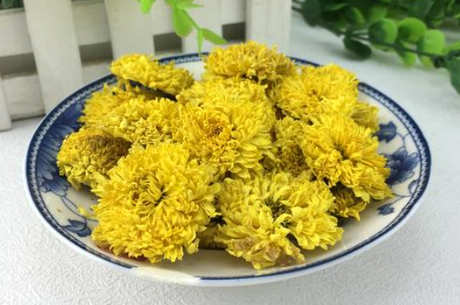 女性喝金黄菊的功效和作用