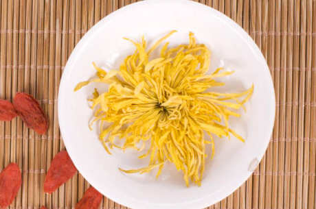喝金丝黄菊茶有什么好处？