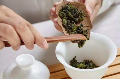 铁观音茶适合高冲吗？