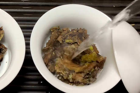 什么茶适合煮茶器？