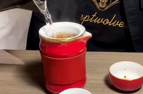 什么茶适合煮茶器？