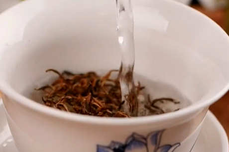 红茶的品种分类及代表名茶的品种