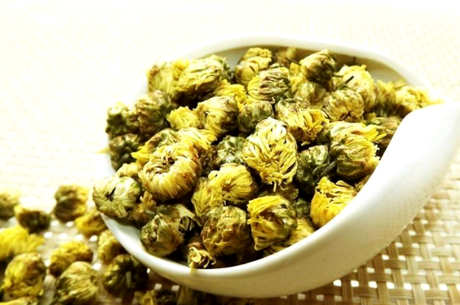 为什么不能喝胎菊泡水的九大禁忌？