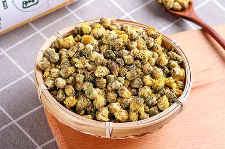 为什么不能喝胎菊泡水的九大禁忌？