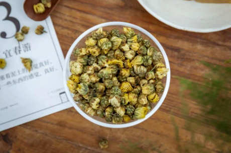 为什么不能喝胎菊泡水的九大禁忌？