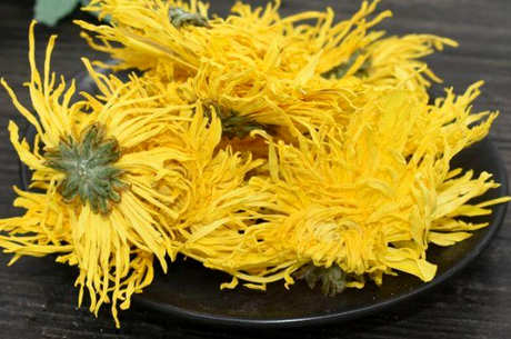 去火胎菊好还是金丝菊好？