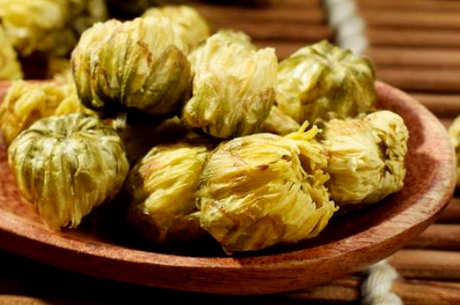 去火胎菊好还是金丝菊好？