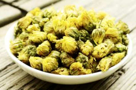 去火胎菊好还是金丝菊好？