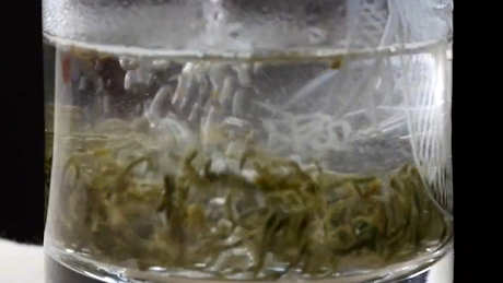 碧螺春多少度水泡茶好？