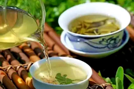 碧螺春多少度水泡茶好？