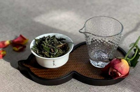 90摄氏度泡什么茶？
