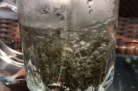 一次泡多少克浆果茶？